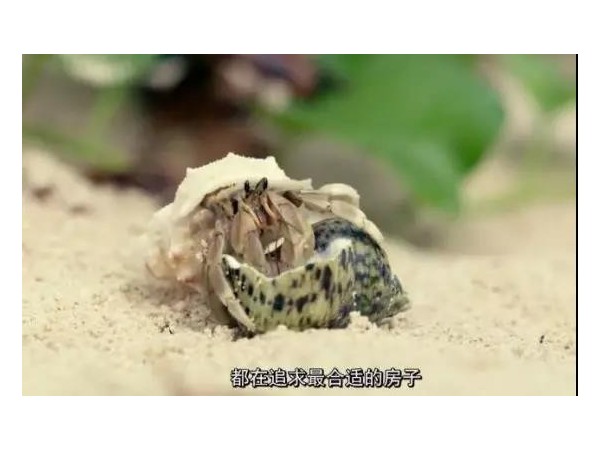 會移動的戶外廣告來了，根本不夠看！